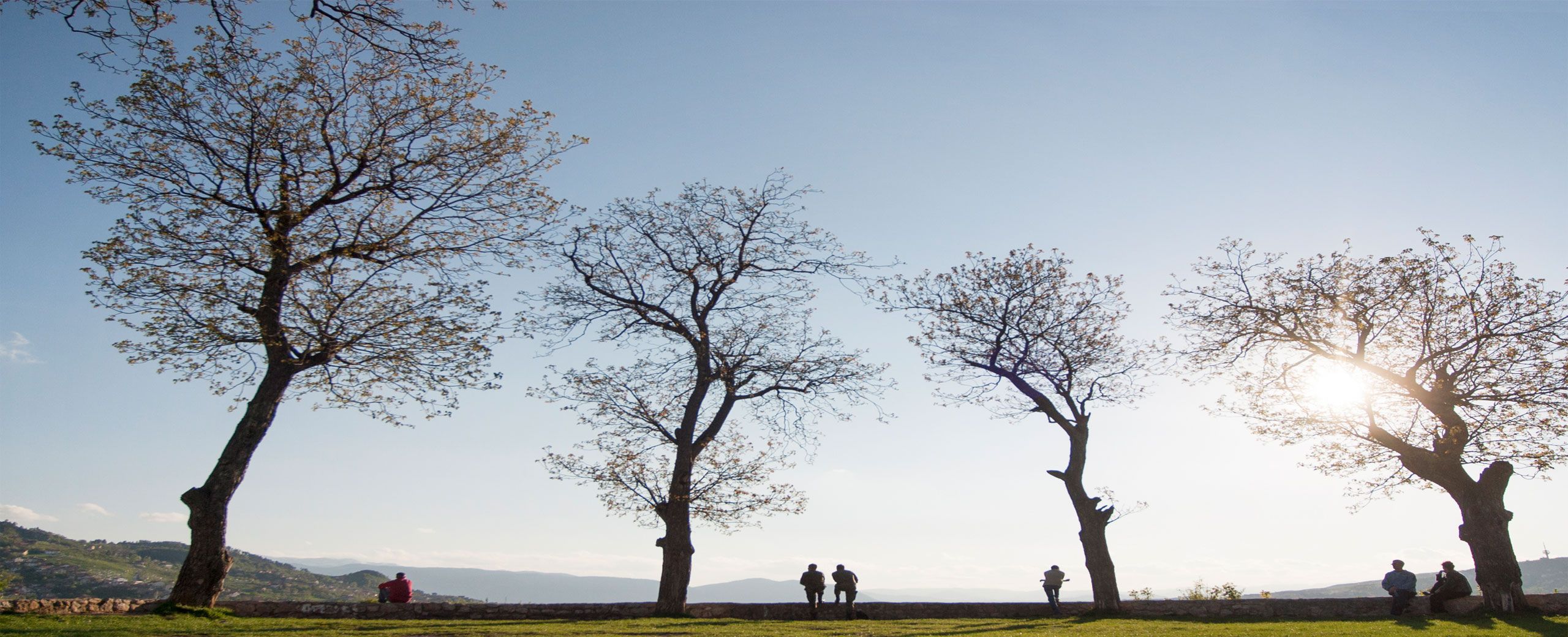 Constelação Familiar